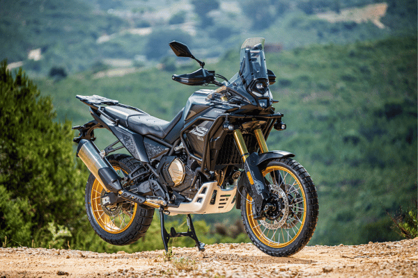 ds800 rally accion detalles 600x400 (1)