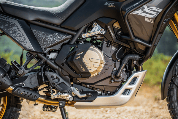 ds800 rally accion detalles 600x400 (14)